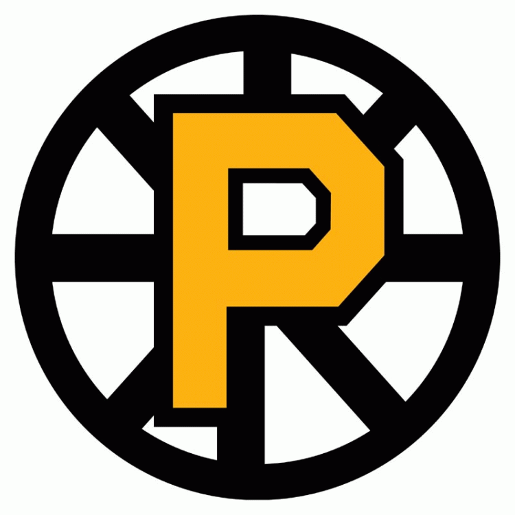 Providence Bruins 2012 13-Pres Primary Logo iron on paper